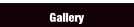 Gallery.