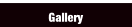 Gallery.