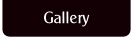 Gallery.
