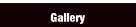 Gallery.